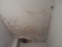 SAM_1179