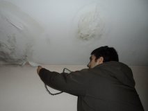 SAM_1229