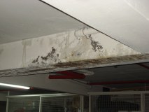 DSC03557