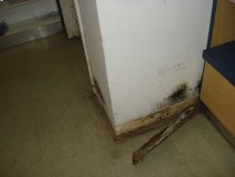 DSC07964