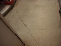DSC07976