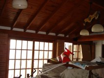 DSC00109