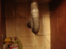 DSC04338