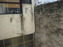 DSC00554