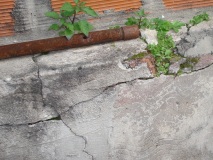 DSC02170