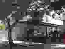 DSC01617